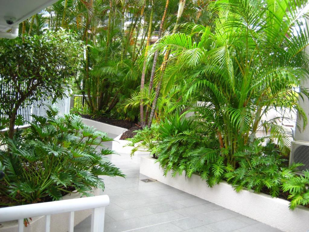 Costa D'Ora Holiday Apartments Gold Coast Buitenkant foto
